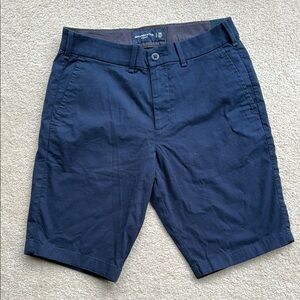 Abercrombie & Fitch Blue Flat Front Shorts